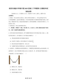 2025届广东省深圳市高级中学高三下第三次模拟测试物理试卷（含答案）