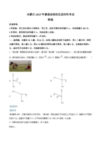 2025年1月内蒙古自治区普通高等学校招生考试适应性测试（八省联考）物理试题  Word版含解析