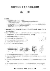 广东省惠州市五校2024-2025学年高二下学期4月联考物理试卷（PDF版附解析）