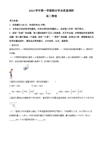 2025届上海市崇明区高三上学期期末（一模）物理试卷（原卷版+解析版）