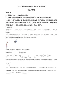 2025届上海市崇明区高三上学期期末（一模）物理试卷（原卷版+解析版）