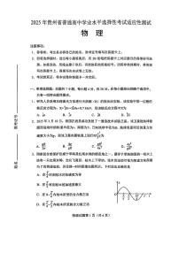 2025届贵州省高三下学期学业水平选择性考试（4月）适应性测试物理试题（含答案）