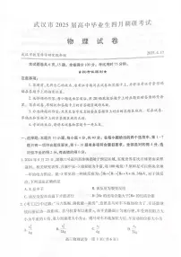 湖北省武汉市2025届高三高考模拟第四次调研-物理试题+答案