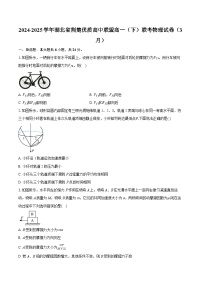 湖北省荆楚优质高中联盟2024-2025学年高一下学期3月联考物理试卷【含答案】