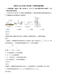 福建省龙岩市2025届高三下学期3月一模物理试卷（Word版附解析）