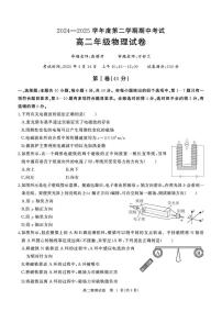 湖北武汉2024-2025学年高二下学期期中考试物理试卷（含答案）