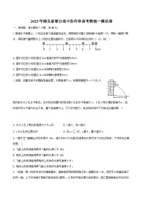 2025年湖北省部分高中协作体高考物理一模试卷（含详细答案解析）
