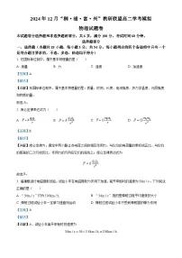 浙江省桐、浦、富、兴教研联盟2024-2025学年高二上学期12月学考模拟物理试题（Word版附解析）