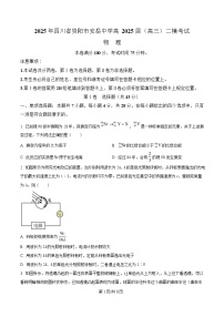 四川省资阳市安岳中学2025届高三下学期二模物理试卷（Word版附解析）