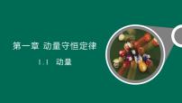 高中物理人教版 (2019)选择性必修 第一册动量课文课件ppt