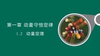 人教版 (2019)选择性必修 第一册动量定理示范课ppt课件
