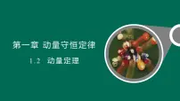 人教版 (2019)选择性必修 第一册动量定理示范课ppt课件