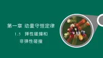 高中物理人教版 (2019)选择性必修 第一册弹性碰撞和非弹性碰撞说课ppt课件