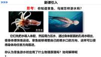 人教版 (2019)选择性必修 第一册反冲现象火箭说课ppt课件