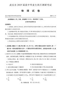 2025届湖北省武汉市高三二模高中毕业生四调研考试 物理试题及答案