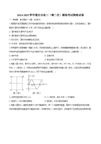 2024-2025学年重庆市高三（第二次）模拟考试物理试卷(含详细答案解析)
