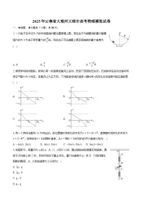 2025年云南省大理州大理市高考物理模拟试卷(含详细答案解析)
