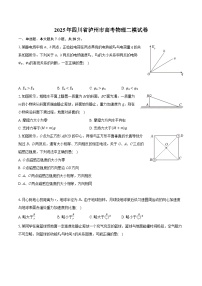 2025年四川省泸州市高考物理二模试卷(含详细答案解析)