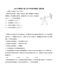 2025年黑龙江省大庆中学高考物理三模试卷(含详细答案解析)