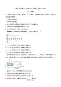 湖南省长沙市雅礼集团2024-2025学年高二下学期3月月考物理试卷（Word版附解析）