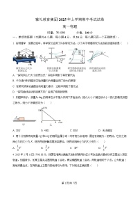 湖南省长沙市雅礼教育集团2024-2025学年高一下学期期中考试物理试卷（Word版附解析）