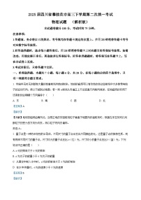 2025届四川省攀枝花市高三下学期第二次统一考试物理试题  （解析版）