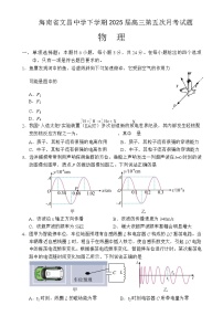 2025届海南省文昌市文昌中学高三下学期第五次月考（4月）物理试题 （解析版）