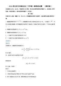 2024届北京市东城区高三下学期一模物理试题  （解析版）