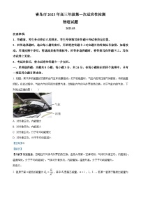 山东省青岛市2022-2023学年高三下学期一模 物理试题 附解析