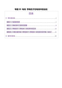 2025年高考物理二轮复习讲练测（新高考通用）专题09 电场 带电粒子在电场中的运动（练习）（解析版）