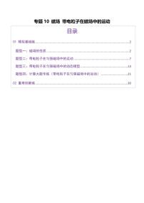 2025年高考物理二轮复习讲练测（新高考通用）专题10 磁场 带电粒子在磁场中的运动（练习）（解析版）