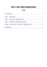 2025年高考物理二轮复习讲练测（新高考通用）专题10 磁场 带电粒子在磁场中的运动（练习）（原卷版）
