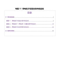 2025年高考物理二轮复习讲练测（新高考通用）专题11 带电粒子在复合场中的运动（练习）（解析版）