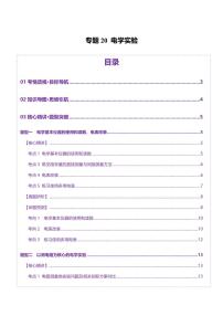 2025年高考物理二轮复习讲练测（新高考通用）专题20 电学实验（讲义）（原卷版）