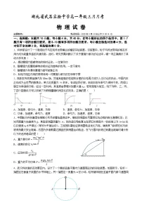 武昌实验中学2024-2025学年高一下学期3月月考物理试卷（word版含答案）