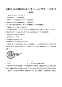 安徽省智学大联考皖中名校联盟合肥市第八中学2024-2025学年高一（下）期中物理试卷
