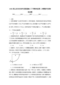 2025届山东省名校考试联盟高三下学期市级第二次模拟考试物理试题（无答案）