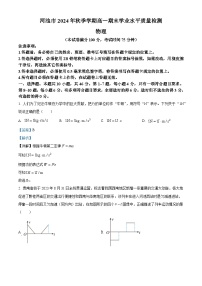 广西壮族自治区河池市2024-2025学年高一上学期1月期末物理试题 含解析