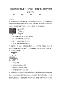 2025届西南名校联盟“333”高三下学期备考诊断性联考物理试卷（三）（无答案）