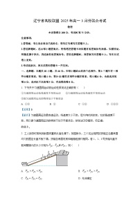 辽宁省名校联盟2024-2025学年高一下学期3月开学考试物理试卷（解析版）