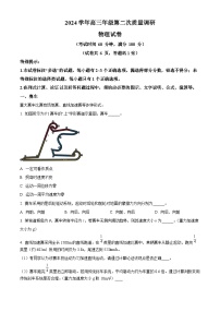 2025届上海市嘉定区高三下学期二模考试物理试题 含解析