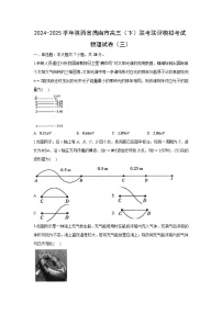 陕西省渭南市2024-2025学年高三下学期联考联评模拟考试（三）物理试卷（解析版）