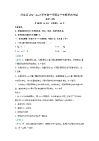 新疆维吾尔自治区喀什地区莎车县2024-2025学年高一上学期1月期末考试物理试卷（解析版）