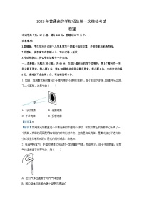 2025届内蒙古呼和浩特市高三下学期第一次模拟考试物理试卷（解析版）