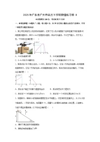 2025届广东省广州市高三下学期练习卷8物理试卷（解析版）