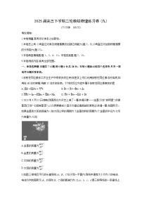 2025届高三下学期二轮模拟练习卷(九)物理试卷（解析版）