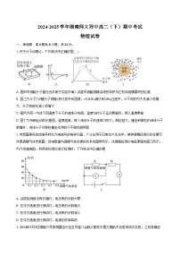 2024-2025学年湖南省长沙市湖南师大附中高二（下）期中考试物理试卷（含答案）