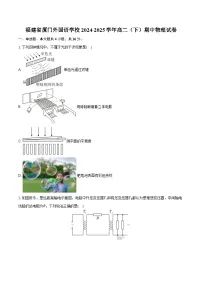 福建省厦门外国语学校2024-2025学年高二（下）期中物理试卷（含解析）