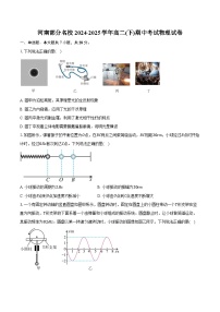 河南部分名校2024-2025学年高二(下)期中考试物理试卷（含解析）