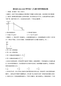 湖北省2024-2025学年高一(下)期中联考物理试卷（含解析）